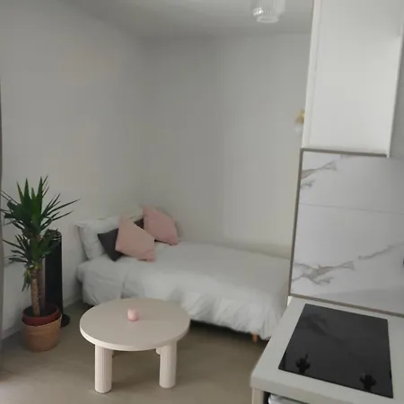 Le Doux Viking, Balcon & Parking Prive Proche Zenith شقة *