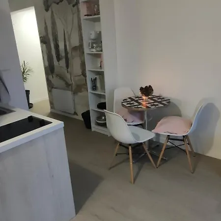 Le Doux Viking, Balcon & Parking Prive Proche Zenith *