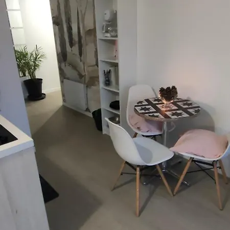 アパート Le Doux Viking, Balcon & Parking Prive Proche Zenith *