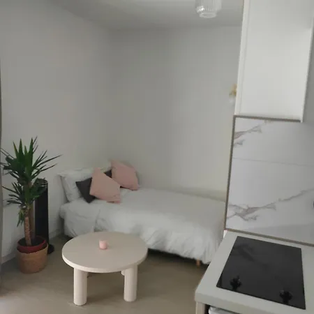 Le Doux Viking, Balcon & Parking Prive Proche Zenith * كان