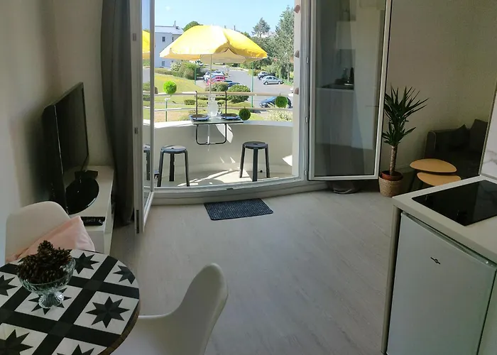 Le Doux Viking, Balcon & Parking Prive Proche Zenith Daire *