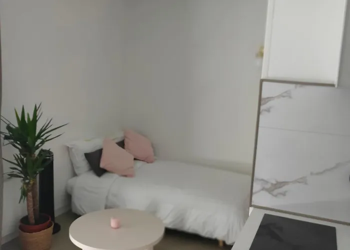 Le Doux Viking, Balcon & Parking Prive Proche Zenith Daire *