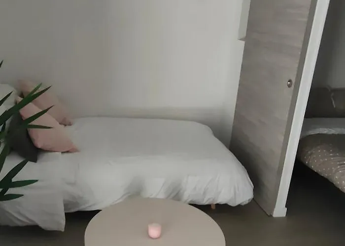 Daire Le Doux Viking, Balcon & Parking Prive Proche Zenith *