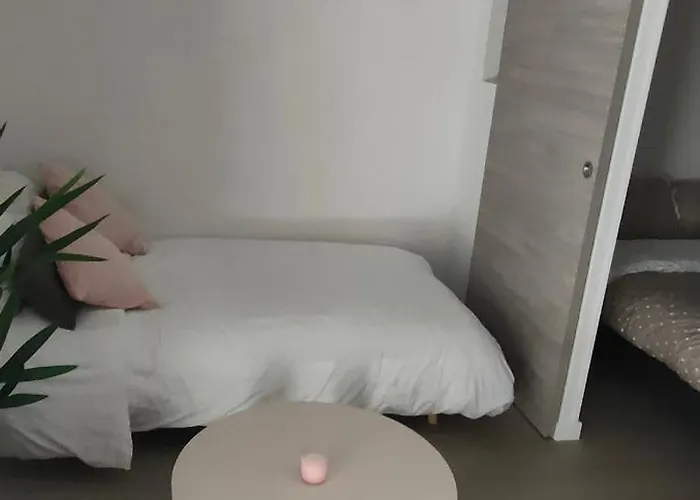 Daire Le Doux Viking, Balcon & Parking Prive Proche Zenith